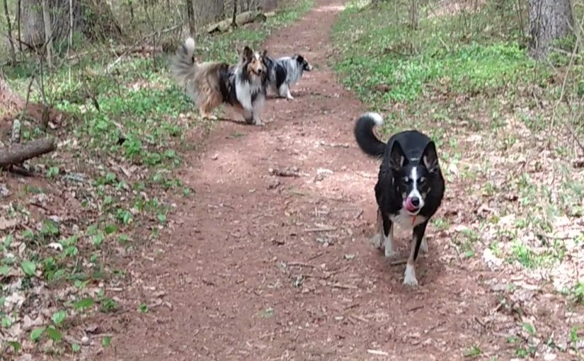 The Recall (or: Hook Your&nbsp;Readers!)