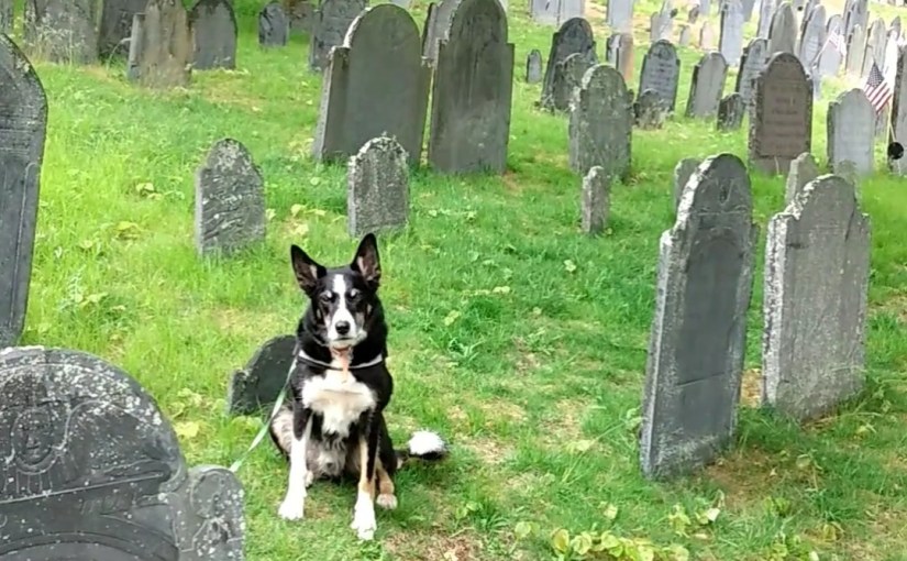 Backstory’s Bad Rap is&nbsp;Undeserved