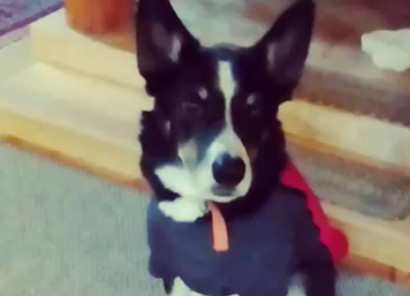 A Character is More than the Clothes on their&nbsp;Back!