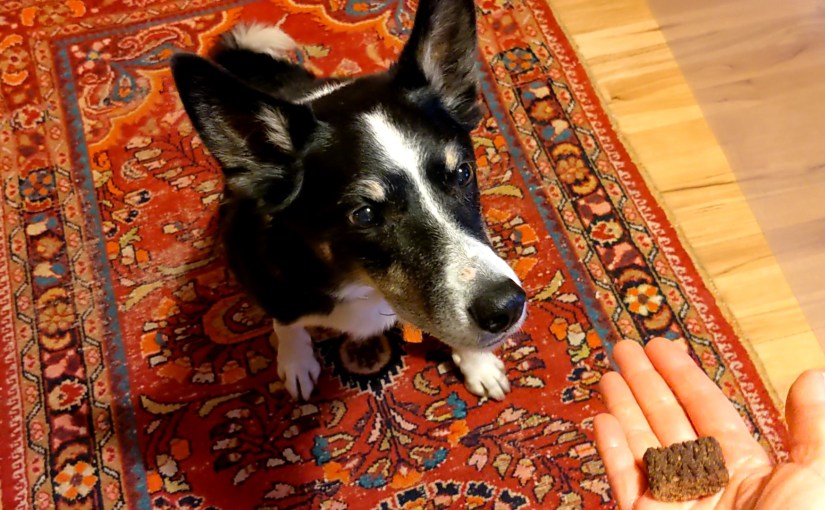 The Real Reason for&nbsp;Routines