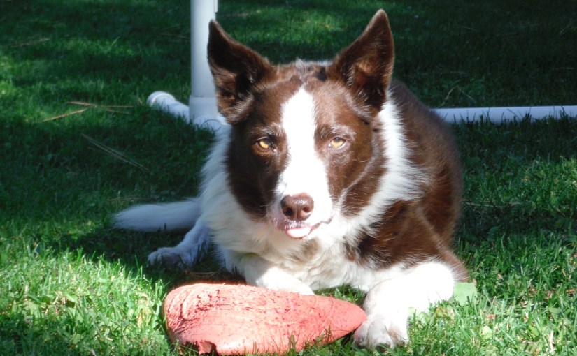 Say Goodbye … Say&nbsp;Hello.