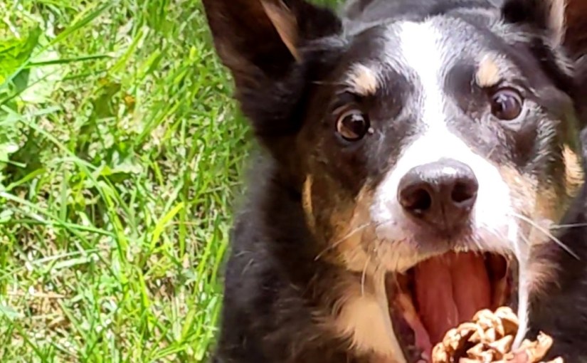 What I Will&nbsp;Miss