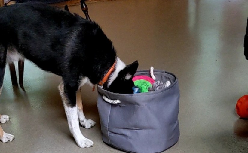 Getting Back in the&nbsp;Game