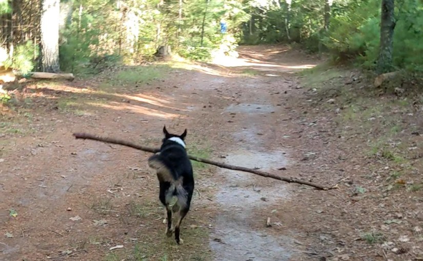 The Number One Most Important Trait a Writer&nbsp;Needs