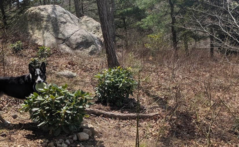 Life Never Gets in the&nbsp;Way