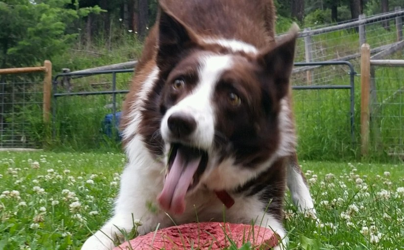 It’s All A&nbsp;Game