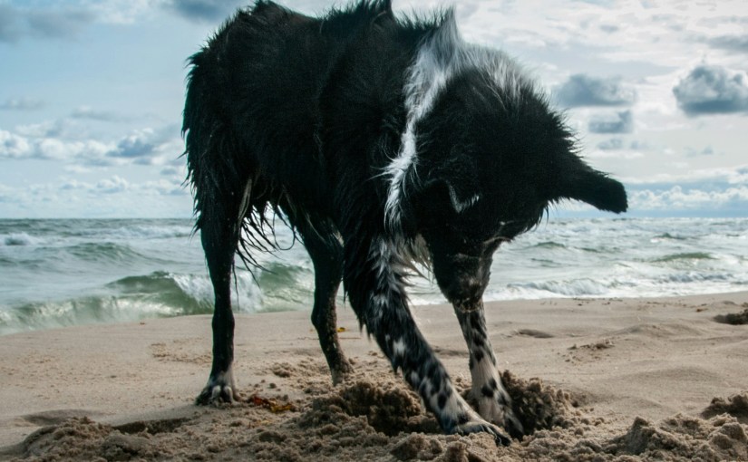 Stuck in a Rut — and it keeps getting&nbsp;deeper!